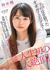 羊（清楚）の皮を被ったオ...