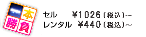 冒険屋一本勝負