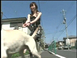 サンプル01