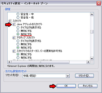 ActiveX̐ݒ6